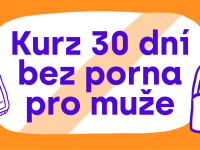 Třicet dní bez porna (verze pro muže)